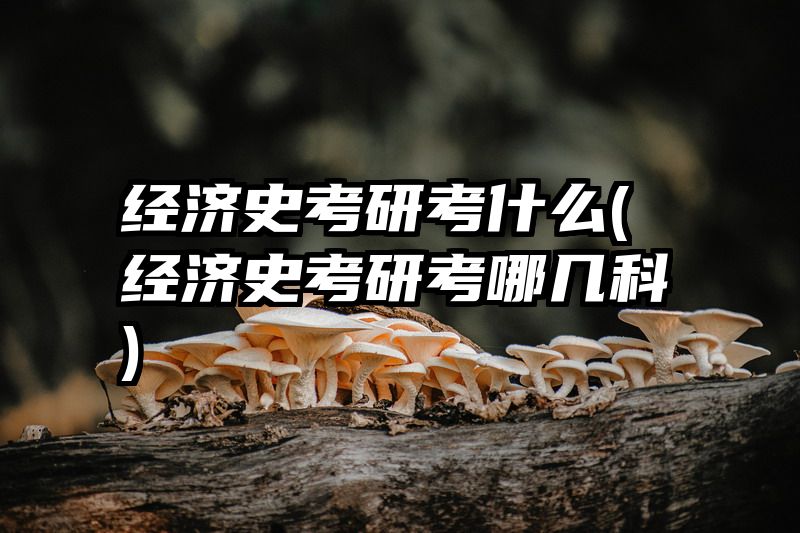 经济史考研考什么(经济史考研考哪几科)