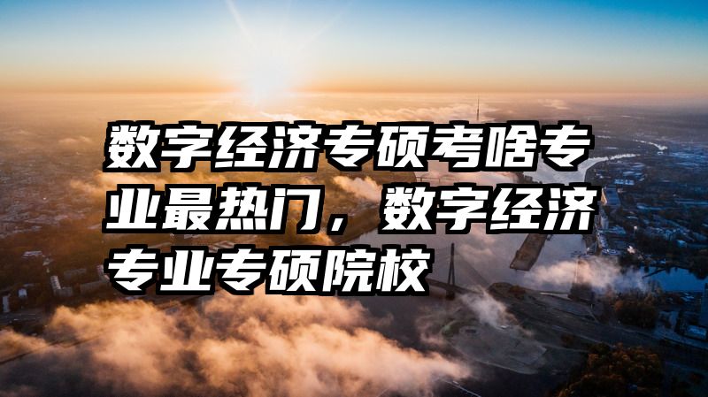 数字经济专硕考啥专业最热门，数字经济专业专硕院校