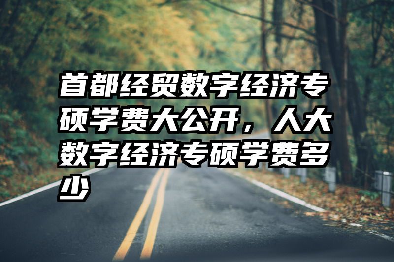 首都经贸数字经济专硕学费大公开，人大数字经济专硕学费多少