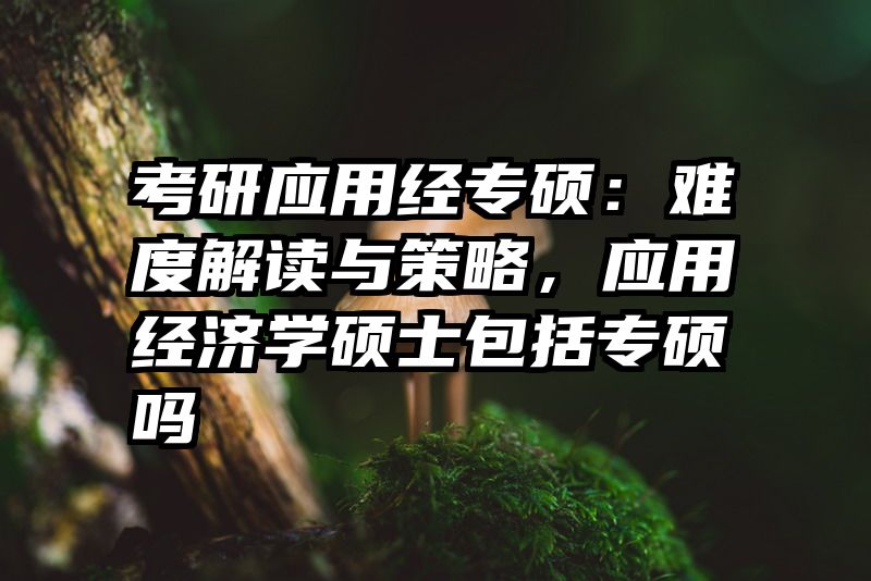 考研应用经专硕：难度解读与策略，应用经济学硕士包括专硕吗