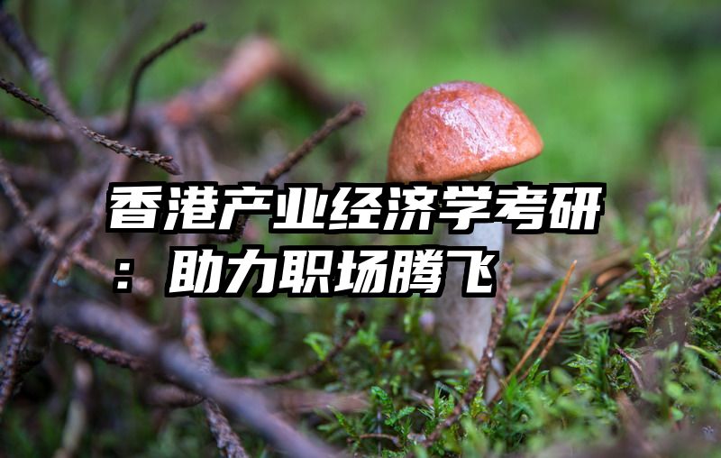 香港产业经济学考研：助力职场腾飞