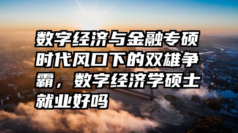 数字经济与金融专硕时代风口下的双雄争霸，数字经济学硕士就业好吗