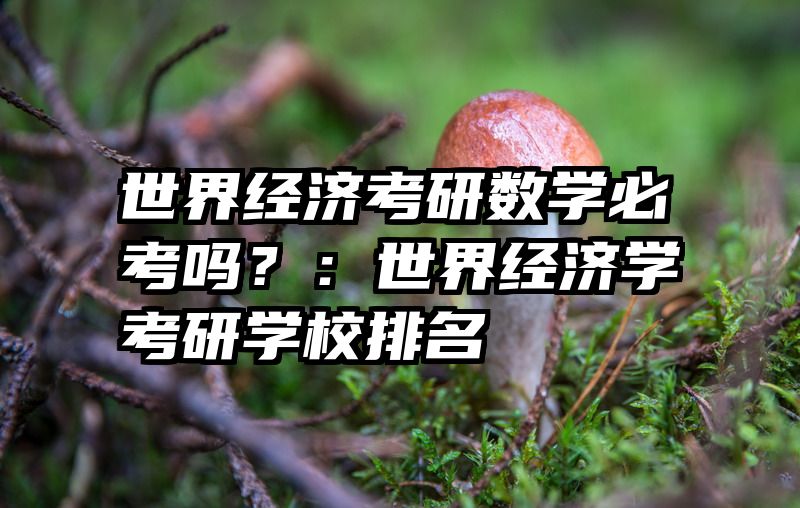 世界经济考研数学必考吗？：世界经济学考研学校排名