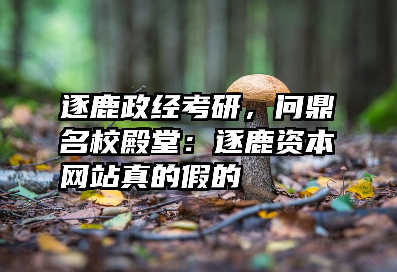 逐鹿政经考研，问鼎名校殿堂：逐鹿资本网站真的假的