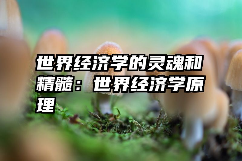 世界经济学的灵魂和精髓：世界经济学原理