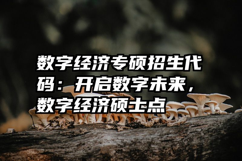 数字经济专硕招生代码：开启数字未来，数字经济硕士点