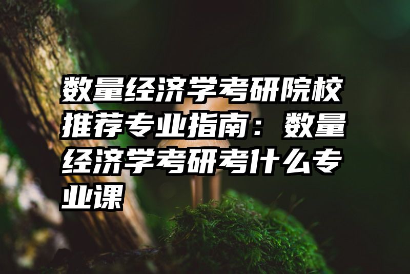 数量经济学考研院校推荐专业指南：数量经济学考研考什么专业课