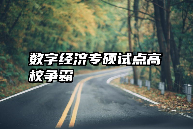 数字经济专硕试点高校争霸