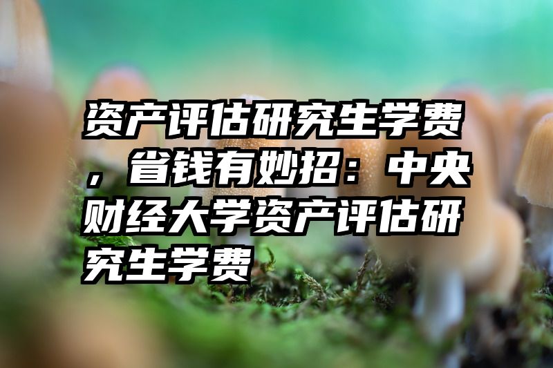 资产评估研究生学费，省钱有妙招：中央财经大学资产评估研究生学费