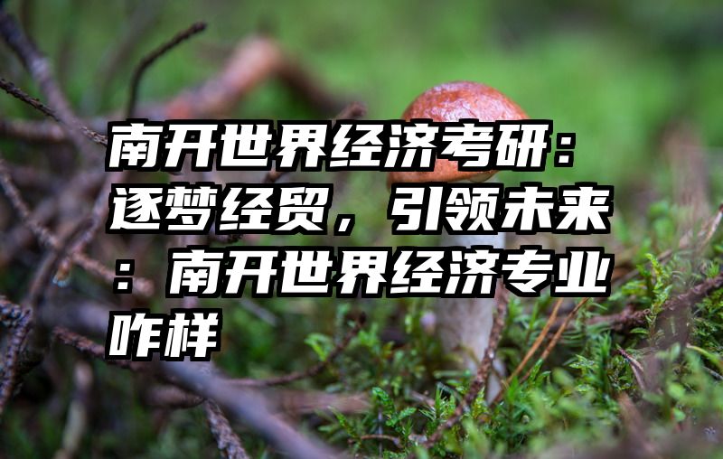 南开世界经济考研：逐梦经贸，引领未来：南开世界经济专业咋样