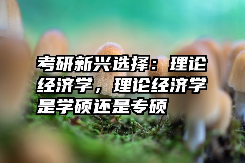 考研新兴选择：理论经济学，理论经济学是学硕还是专硕