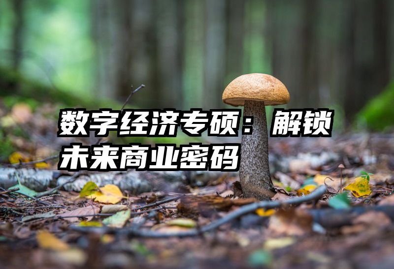 数字经济专硕：解锁未来商业密码