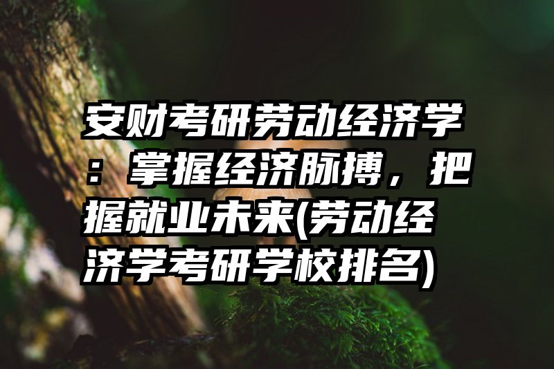 安财考研劳动经济学：掌握经济脉搏，把握就业未来(劳动经济学考研学校排名)