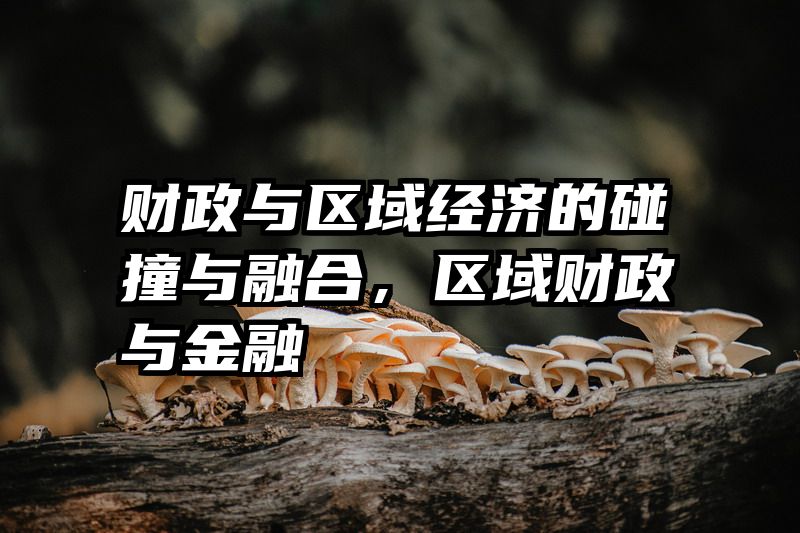 财政与区域经济的碰撞与融合，区域财政与金融