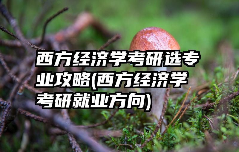 西方经济学考研选专业攻略(西方经济学考研就业方向)