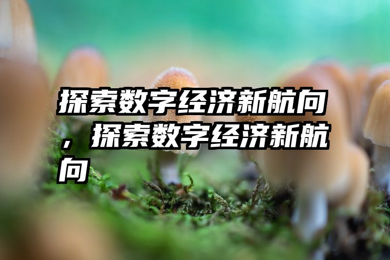 探索数字经济新航向，探索数字经济新航向