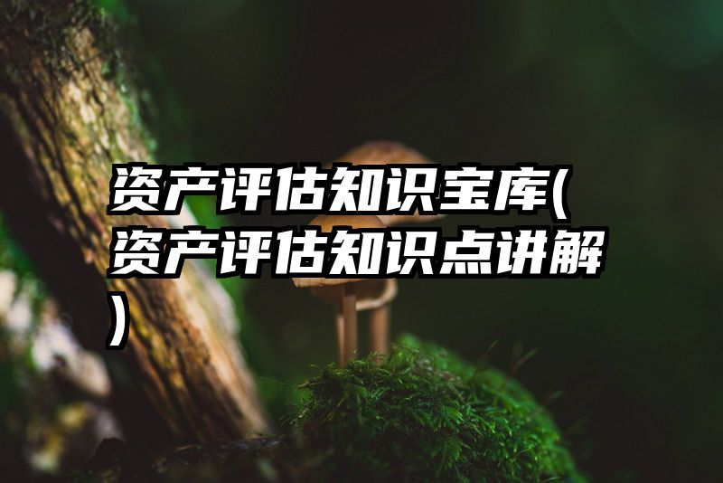 资产评估知识宝库(资产评估知识点讲解)