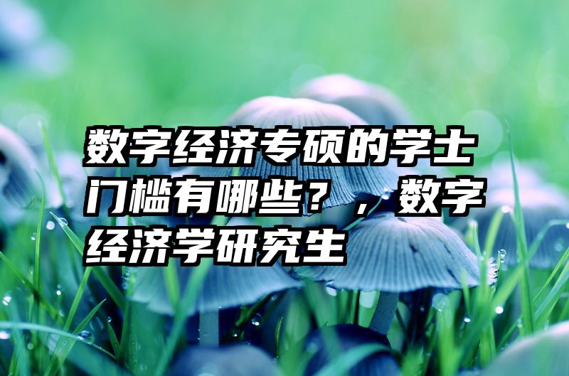 数字经济专硕的学士门槛有哪些？，数字经济学研究生