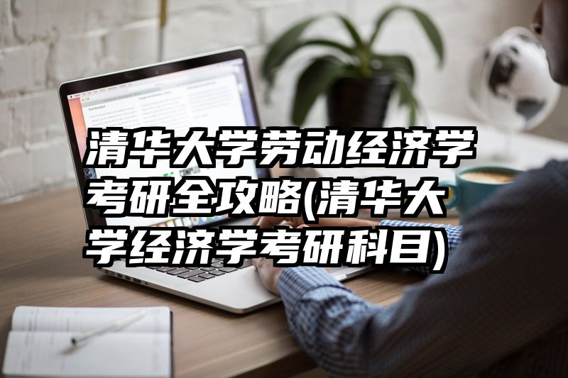 清华大学劳动经济学考研全攻略(清华大学经济学考研科目)