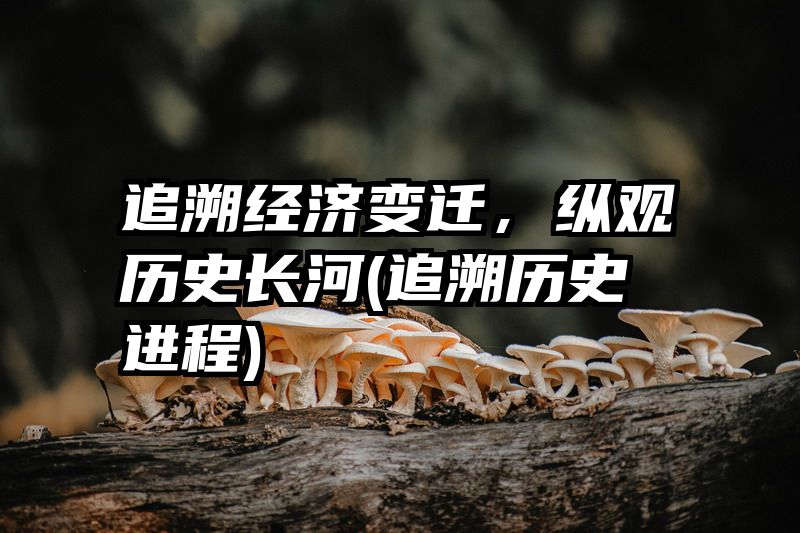 追溯经济变迁，纵观历史长河(追溯历史进程)