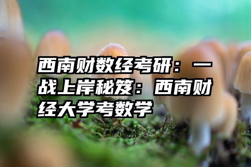 西南财数经考研：一战上岸秘笈：西南财经大学考数学