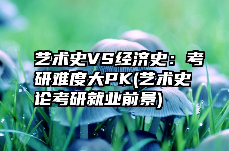 艺术史VS经济史：考研难度大PK(艺术史论考研就业前景)