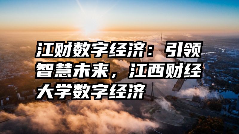 江财数字经济：引领智慧未来，江西财经大学数字经济