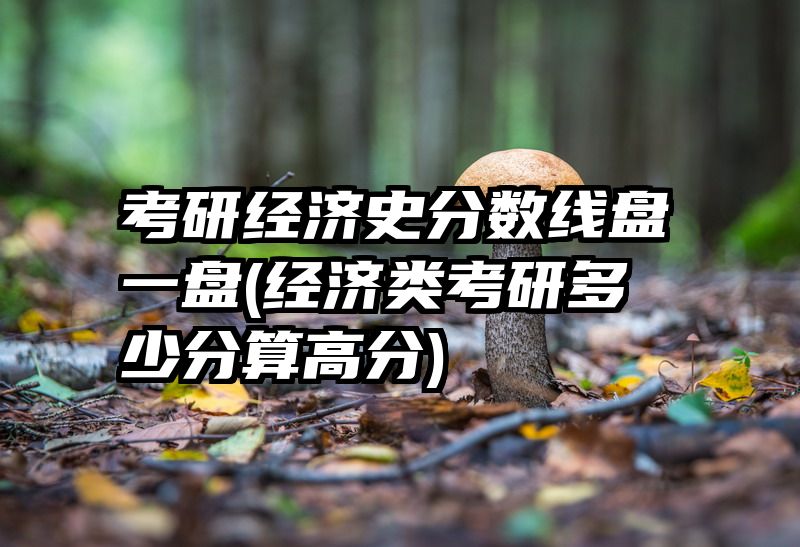 考研经济史分数线盘一盘(经济类考研多少分算高分)