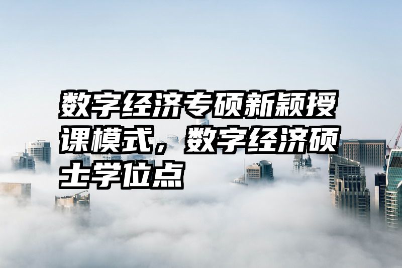 数字经济专硕新颖授课模式，数字经济硕士学位点