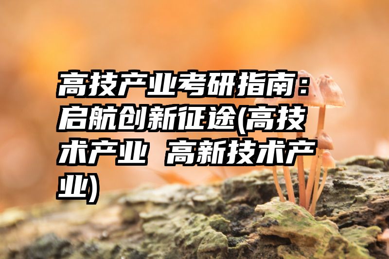 高技产业考研指南：启航创新征途(高技术产业 高新技术产业)