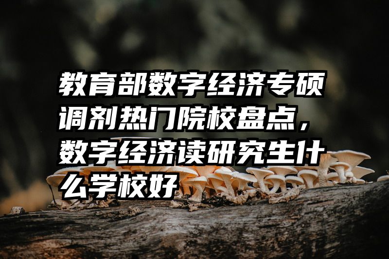 教育部数字经济专硕调剂热门院校盘点，数字经济读研究生什么学校好