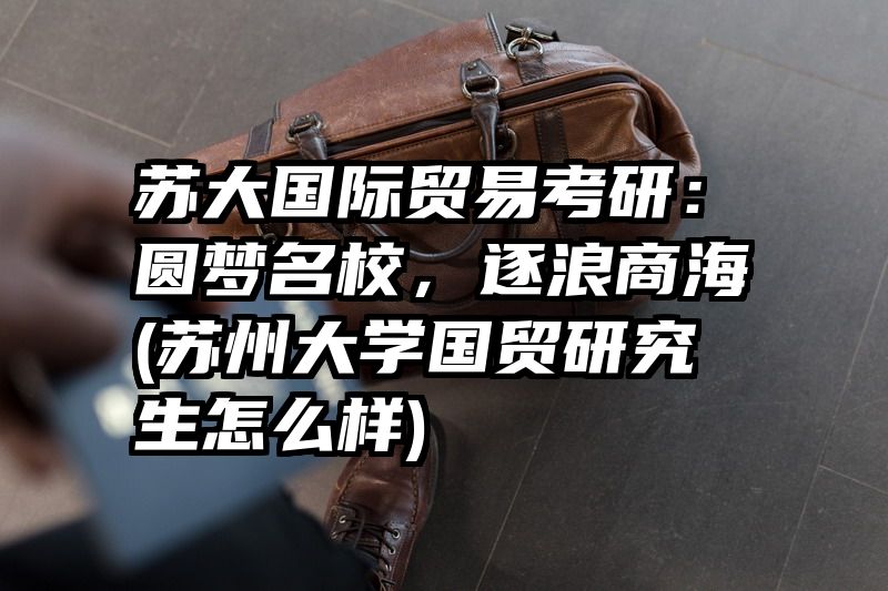 苏大国际贸易考研：圆梦名校，逐浪商海(苏州大学国贸研究生怎么样)