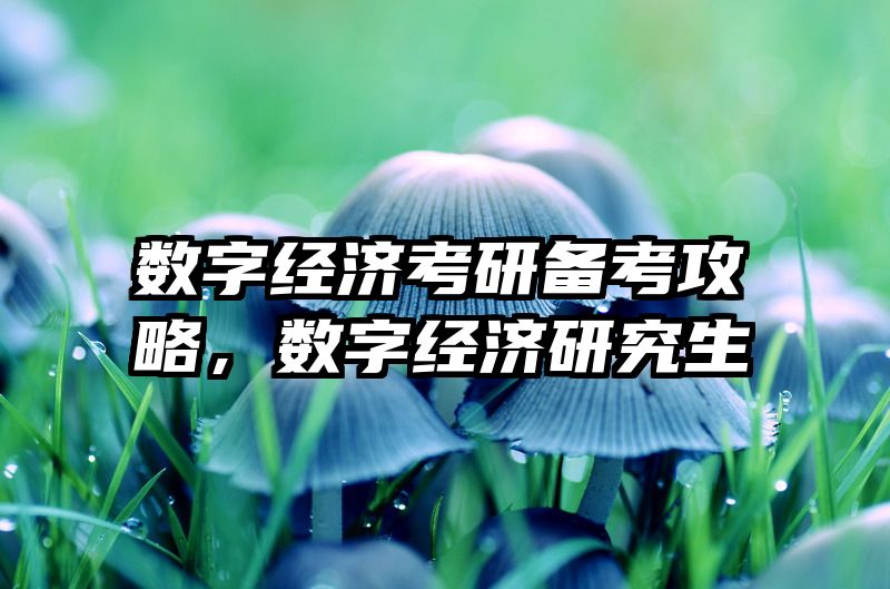 数字经济考研备考攻略，数字经济研究生