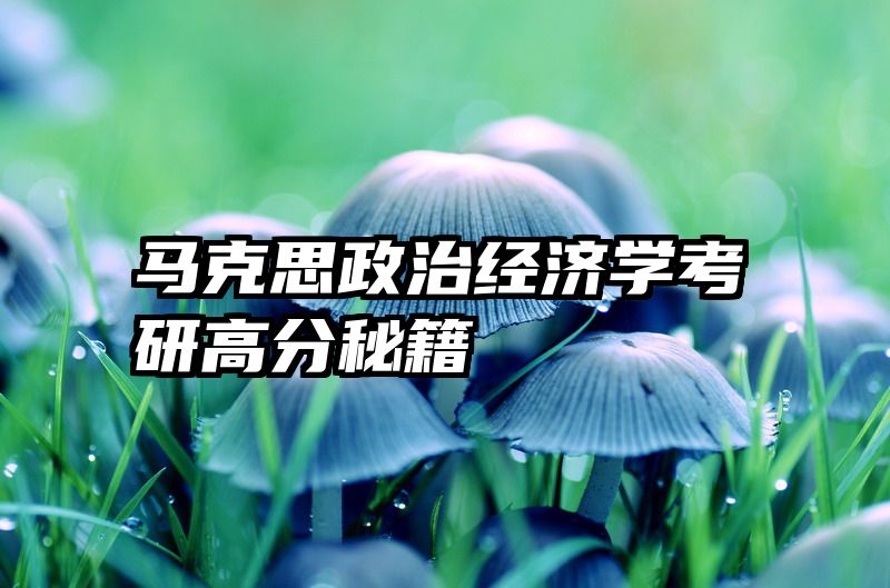 马克思政治经济学考研高分秘籍