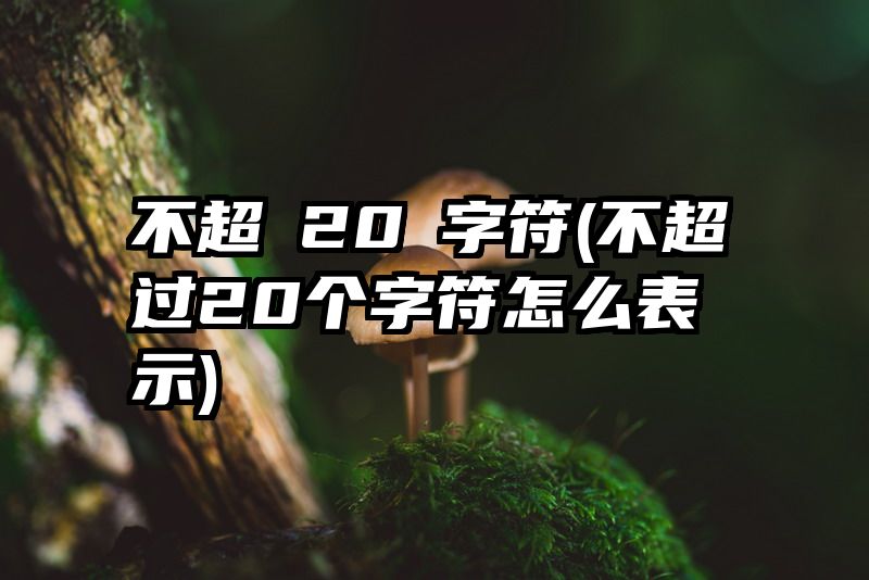 不超過20個字符(不超过20个字符怎么表示)