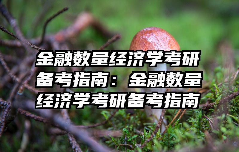 金融数量经济学考研备考指南：金融数量经济学考研备考指南