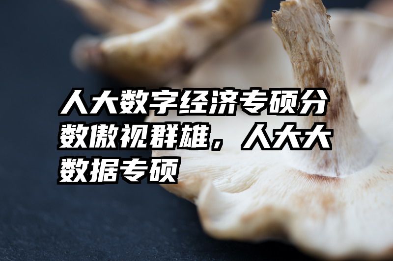 人大数字经济专硕分数傲视群雄，人大大数据专硕