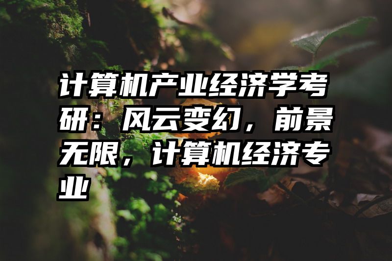 计算机产业经济学考研：风云变幻，前景无限，计算机经济专业