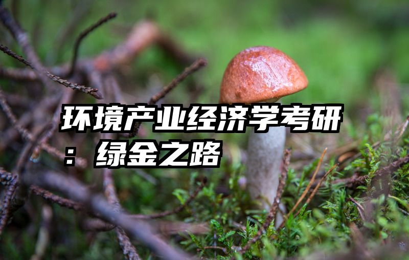 环境产业经济学考研：绿金之路