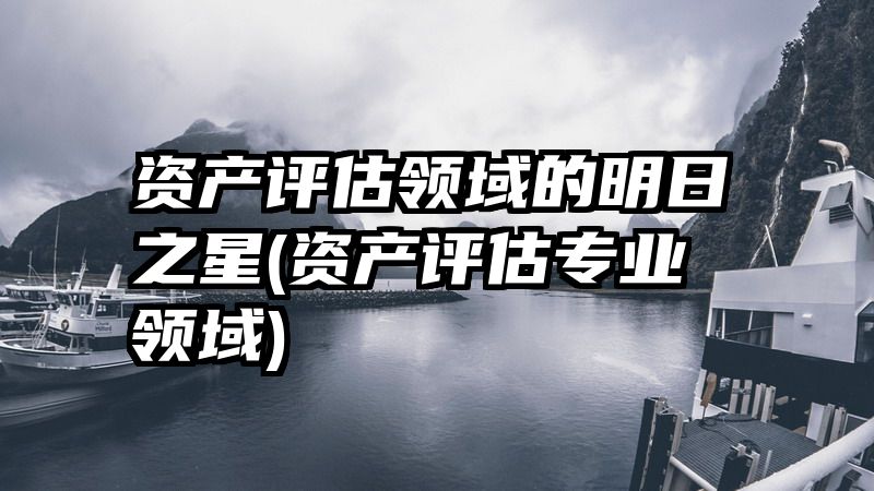 资产评估领域的明日之星(资产评估专业领域)