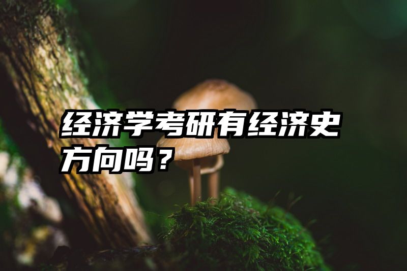 经济学考研有经济史方向吗？