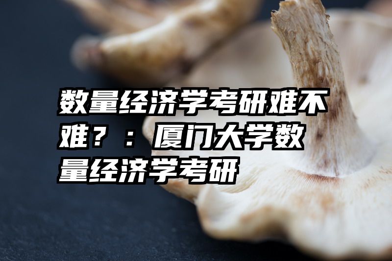 数量经济学考研难不难？：厦门大学数量经济学考研