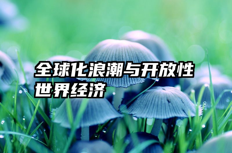 全球化浪潮与开放性世界经济