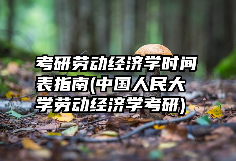 考研劳动经济学时间表指南(中国人民大学劳动经济学考研)