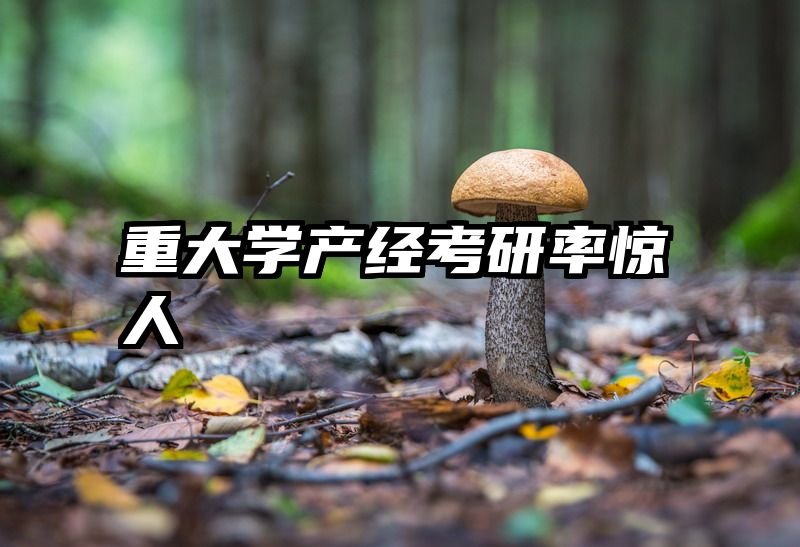 重大学产经考研率惊人