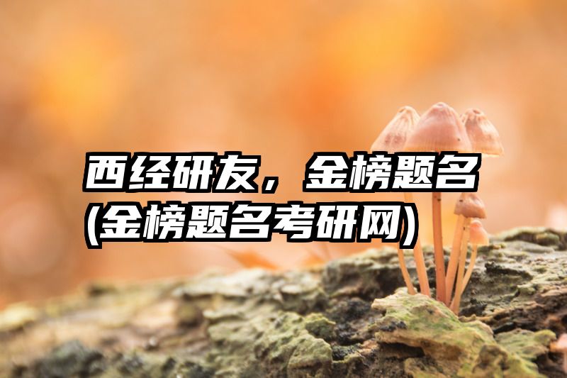 西经研友，金榜题名(金榜题名考研网)