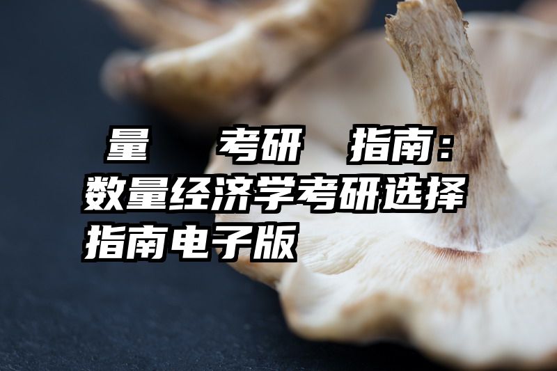 數量經濟學考研選擇指南：数量经济学考研选择指南电子版