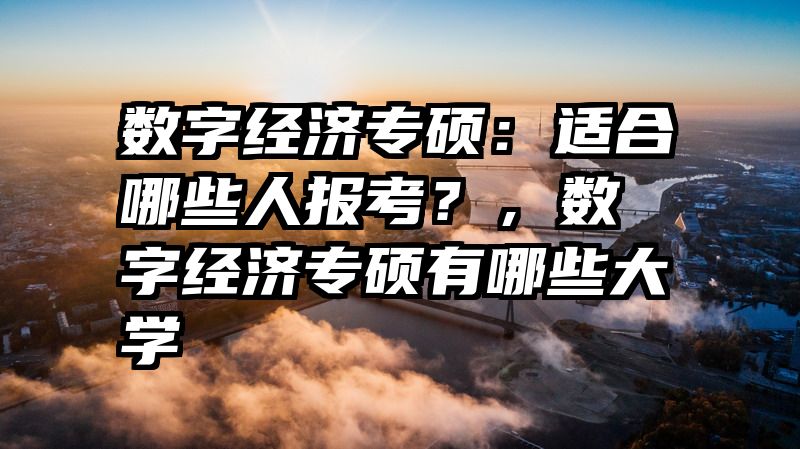 数字经济专硕：适合哪些人报考？，数字经济专硕有哪些大学