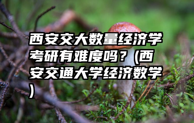 西安交大数量经济学考研有难度吗？(西安交通大学经济数学)