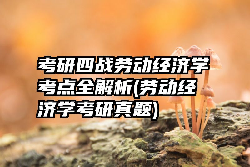 考研四战劳动经济学考点全解析(劳动经济学考研真题)